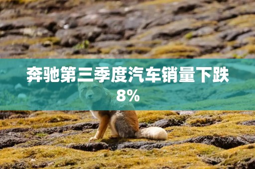 奔驰第三季度汽车销量下跌8%