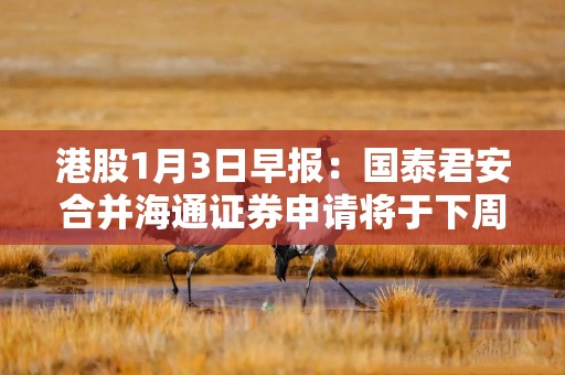 港股1月3日早报：国泰君安合并海通证券申请将于下周上会 机构预计2025年港股IPO集资可达1600亿港元