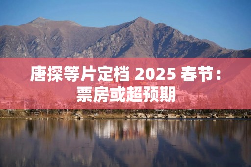 唐探等片定档 2025 春节：票房或超预期