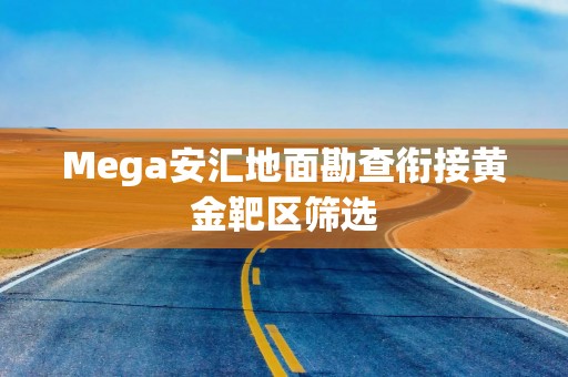 Mega安汇地面勘查衔接黄金靶区筛选