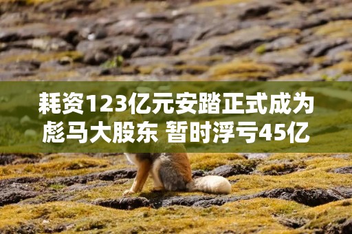 耗资123亿元安踏正式成为彪马大股东 暂时浮亏45亿元