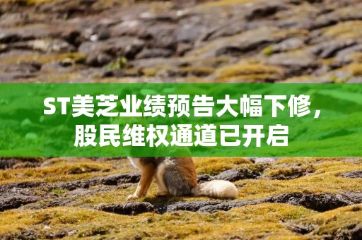 ST美芝业绩预告大幅下修，股民维权通道已开启