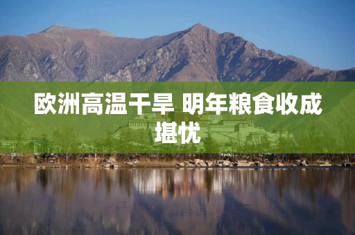 欧洲高温干旱 明年粮食收成堪忧