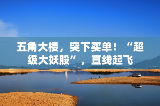 五角大楼，突下买单！“超级大妖股”，直线起飞