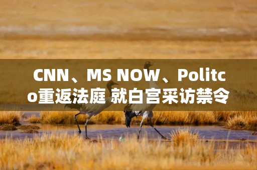 CNN、MS NOW、Politco重返法庭 就白宫采访禁令与特朗普展开诉讼