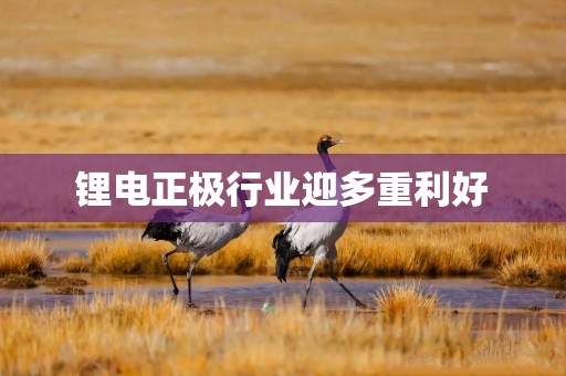 锂电正极行业迎多重利好