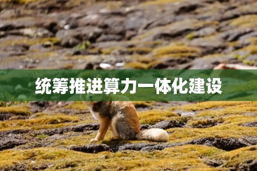 统筹推进算力一体化建设