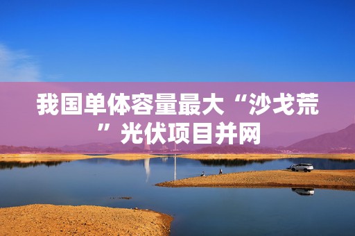 我国单体容量最大“沙戈荒”光伏项目并网
