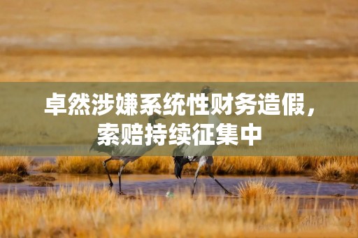 卓然涉嫌系统性财务造假，索赔持续征集中