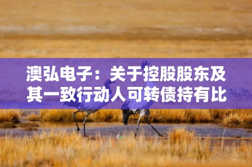 澳弘电子：关于控股股东及其一致行动人可转债持有比例变动达10%暨权益变动触及1%刻度的提示性公告