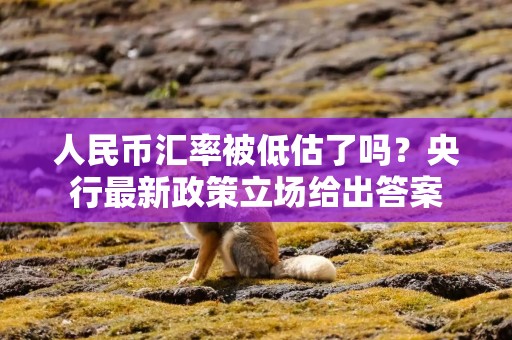 人民币汇率被低估了吗？央行最新政策立场给出答案
