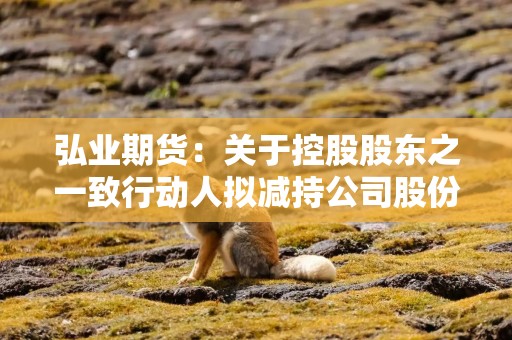 弘业期货：关于控股股东之一致行动人拟减持公司股份的预披露公告