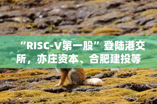 “RISC-V第一股”登陆港交所，亦庄资本、合肥建投等基石认购约11.61亿港元