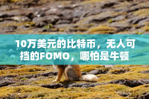 10万美元的比特币，无人可挡的FOMO，哪怕是牛顿