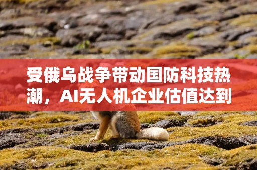 受俄乌战争带动国防科技热潮，AI无人机企业估值达到64亿美元