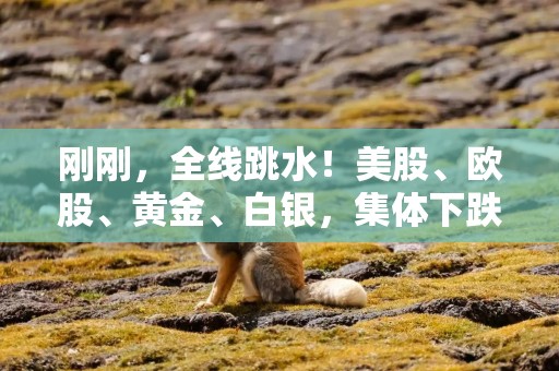 刚刚，全线跳水！美股、欧股、黄金、白银，集体下跌！