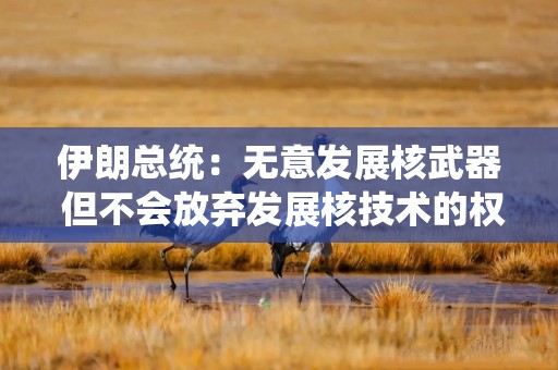 伊朗总统：无意发展核武器 但不会放弃发展核技术的权利