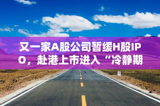 又一家A股公司暂缓H股IPO，赴港上市进入“冷静期”？