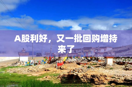 A股利好，又一批回购增持来了