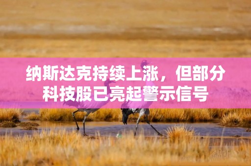 纳斯达克持续上涨，但部分科技股已亮起警示信号