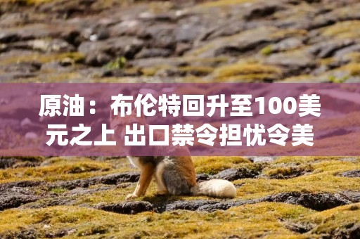 原油：布伦特回升至100美元之上 出口禁令担忧令美国柴油期货大跌