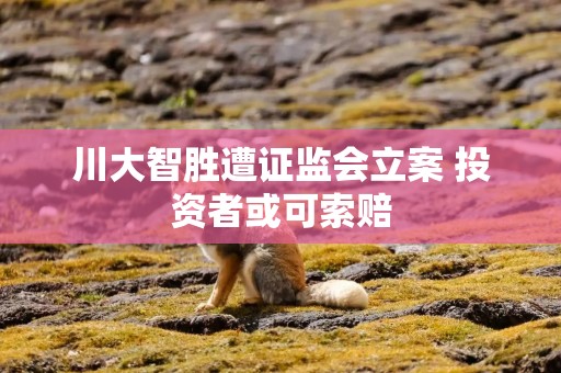 川大智胜遭证监会立案 投资者或可索赔