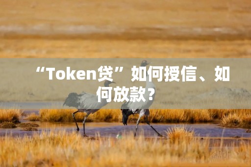 “Token贷”如何授信、如何放款？