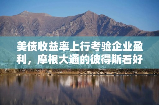 美债收益率上行考验企业盈利，摩根大通的彼得斯看好股票资产