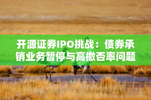 开源证券IPO挑战：债券承销业务暂停与高撤否率问题