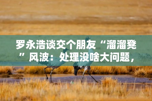 罗永浩谈交个朋友“溜溜凳”风波：处理没啥大问题，东方甄选是同款产品最大代销商