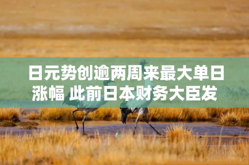 日元势创逾两周来最大单日涨幅 此前日本财务大臣发表汇率言论