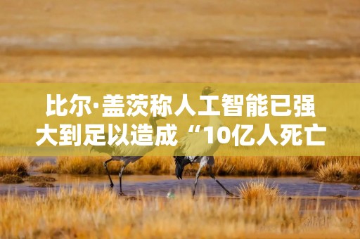 比尔·盖茨称人工智能已强大到足以造成“10亿人死亡”