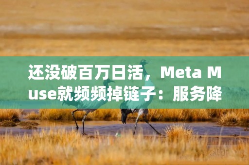 还没破百万日活，Meta Muse就频频掉链子：服务降级、Agent失败，算力瓶颈浮出水面