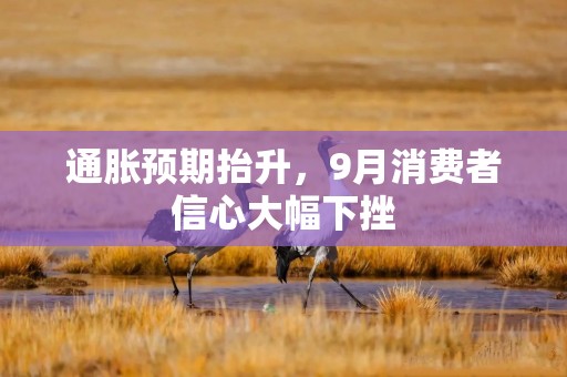 通胀预期抬升，9月消费者信心大幅下挫