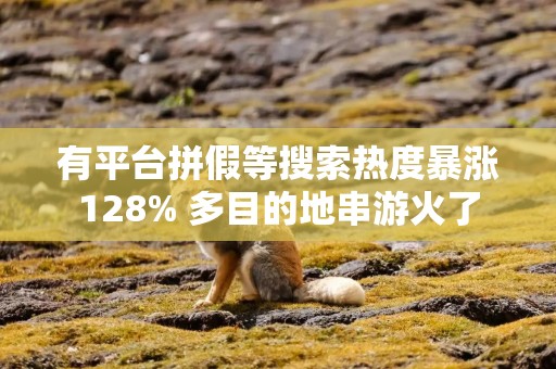有平台拼假等搜索热度暴涨128% 多目的地串游火了