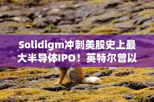 Solidigm冲刺美股史上最大半导体IPO！英特尔曾以90亿美元卖掉，如今估值或达1500亿美元