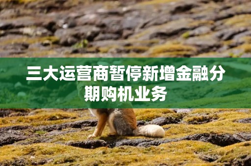 三大运营商暂停新增金融分期购机业务