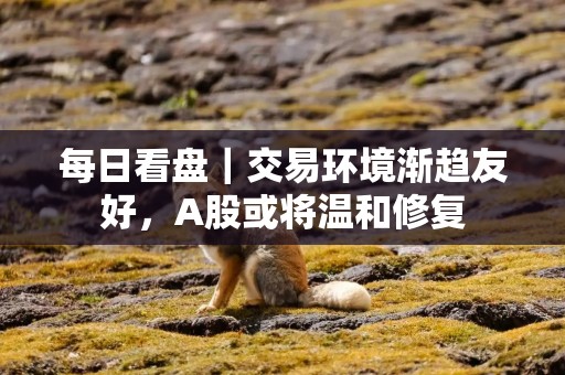 每日看盘｜交易环境渐趋友好，A股或将温和修复