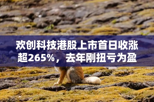 欢创科技港股上市首日收涨超265%，去年刚扭亏为盈