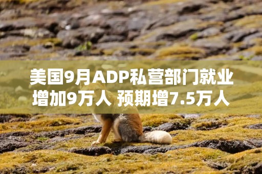 美国9月ADP私营部门就业增加9万人 预期增7.5万人