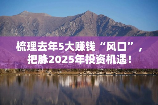 梳理去年5大赚钱“风口”，把脉2025年投资机遇！