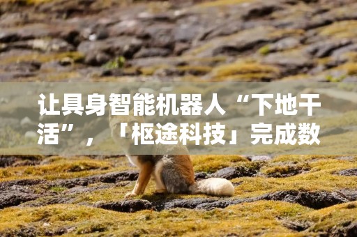 让具身智能机器人“下地干活”，「枢途科技」完成数百万天使轮融资｜硬氪首发