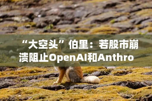 “大空头”伯里：若股市崩溃阻止OpenAI和Anthropic上市，将是人类幸事