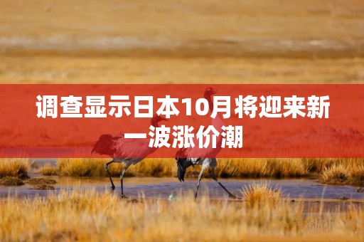 调查显示日本10月将迎来新一波涨价潮