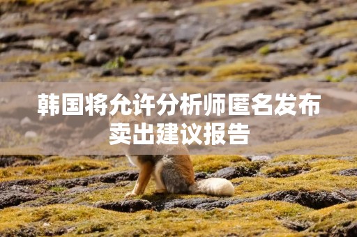 韩国将允许分析师匿名发布卖出建议报告