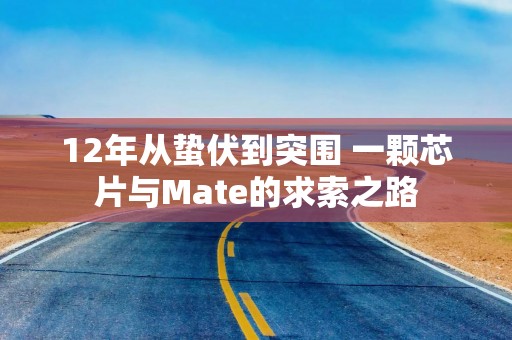 12年从蛰伏到突围 一颗芯片与Mate的求索之路