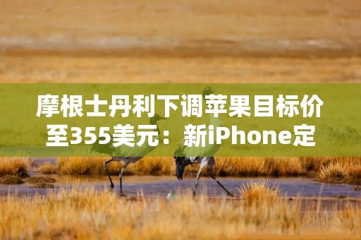 摩根士丹利下调苹果目标价至355美元：新iPhone定价压低利润假设，股价上涨后空间有限