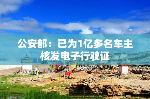 公安部：已为1亿多名车主核发电子行驶证