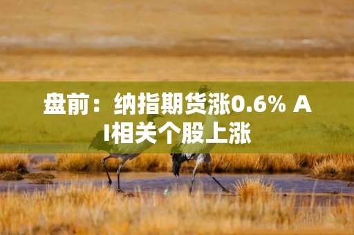 盘前：纳指期货涨0.6% AI相关个股上涨