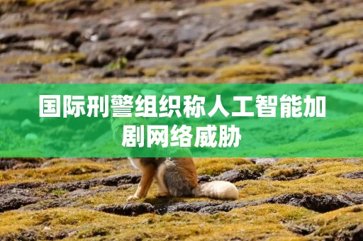 国际刑警组织称人工智能加剧网络威胁